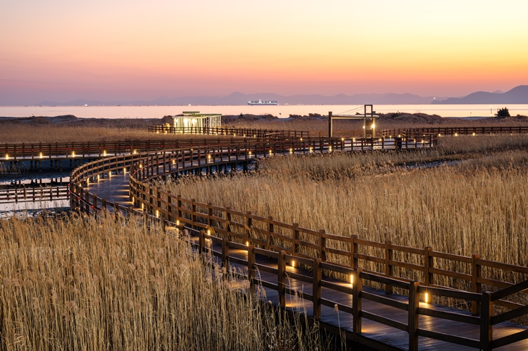 20-3cw33 다대포해수욕장 고우니생태길